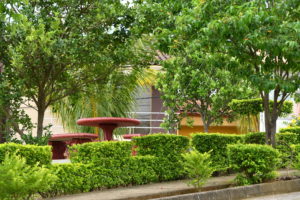 Condominio La Francia